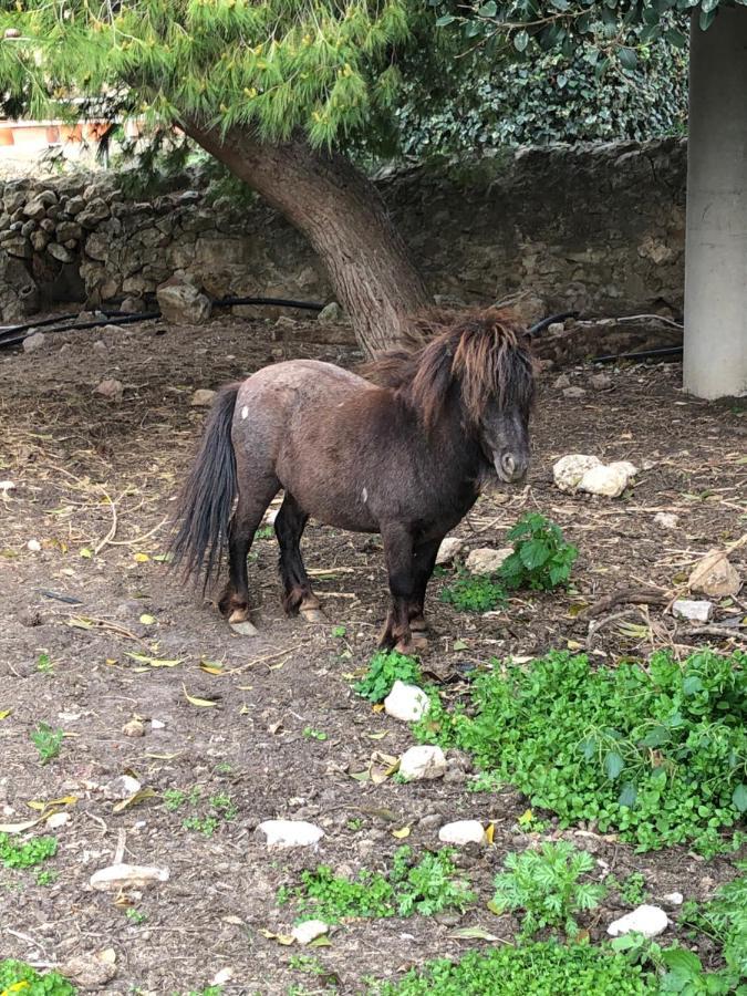 Casale Rocca Fiorita Alojamento de Acomodação e Pequeno-almoço