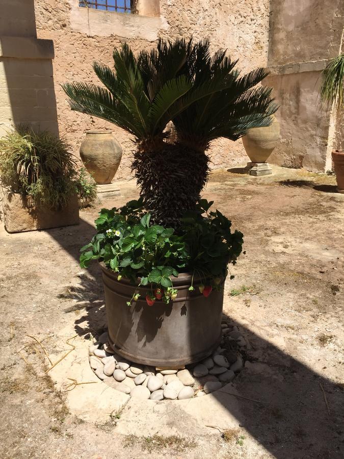 Alojamento de Acomodação e Pequeno-almoço Casale Rocca Fiorita