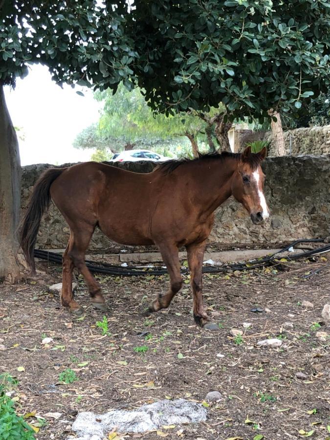 Casale Rocca Fiorita 2* Acate